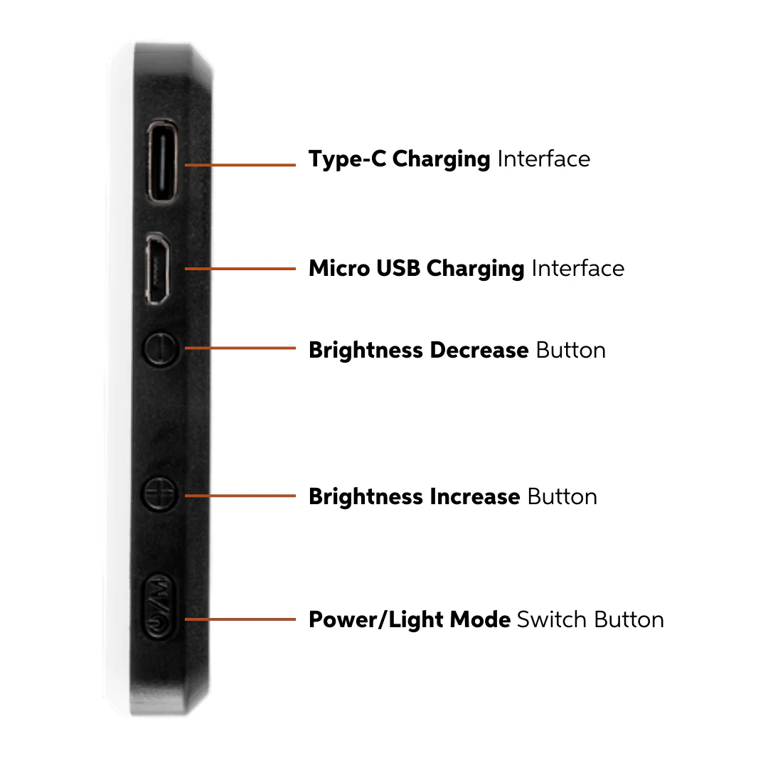 Looth LED Light & Neck Mount - Image 10