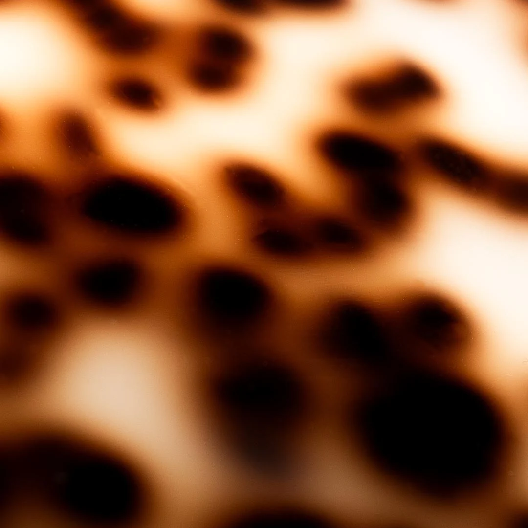 Tortoise Shell Balayage Board - Image 6
